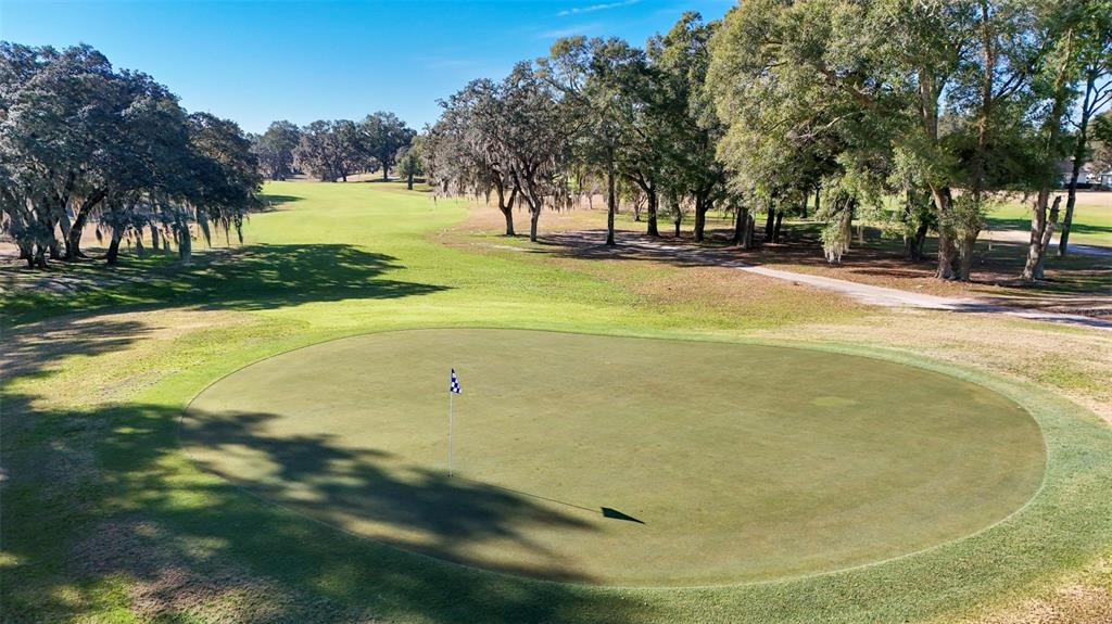 10878 Southwest 71st Circle Ocala, FL 34476 - Photo 9 of 40