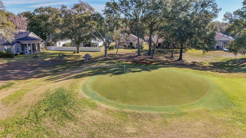 10878 Southwest 71st Circle Ocala, FL 34476 - Photo 10 of 40