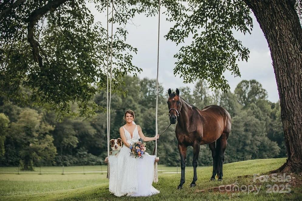 732 Crowe Dairy Road Forest City, NC 28043 - Photo 32 of 35