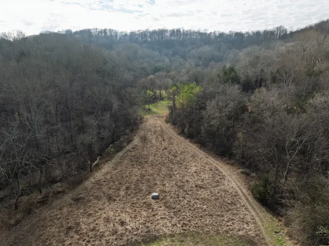 a view of a forest with mountains in the background