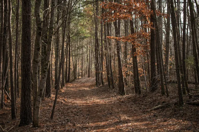 a view of lake and mountain