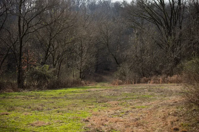 a living room with fireplace furniture and a wooden floor