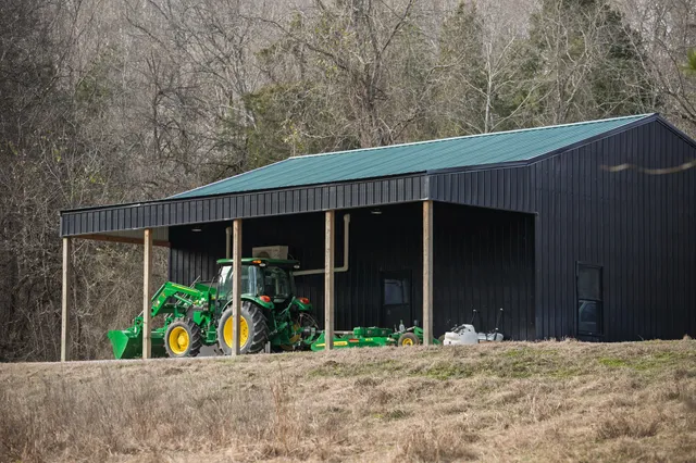 a view of a tree in a field