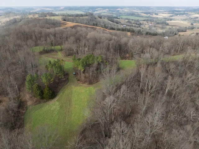 a view of a field with a tree