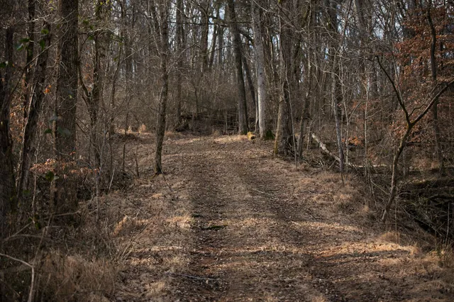 a view of wooden fence