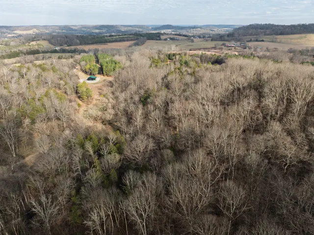 a close up of a shower curtain