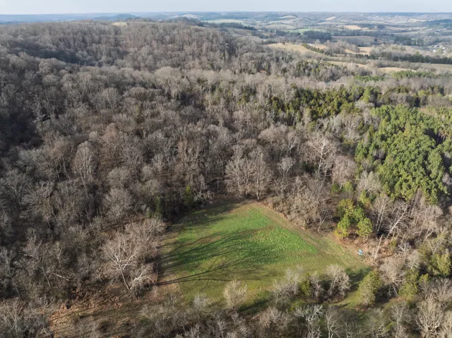 a view of a backyard of the house
