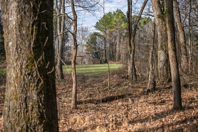 $1,695,000 | 680 Morrell Road, Pulaski, TN 38478