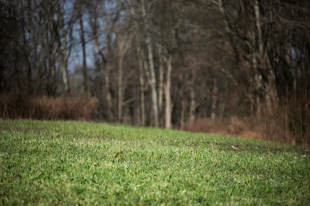 $1,695,000 | 680 Morrell Road, Pulaski, TN 38478