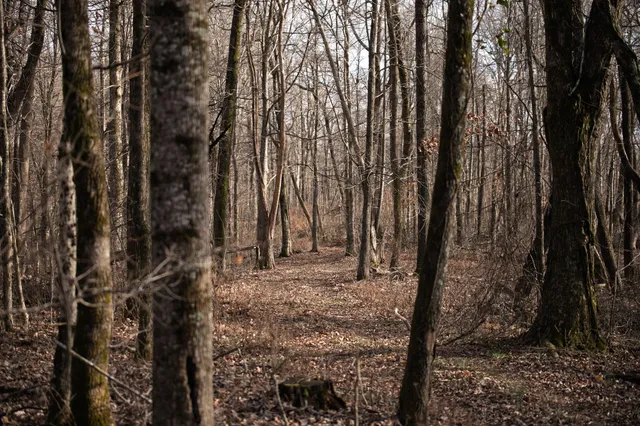 $1,695,000 | 680 Morrell Road, Pulaski, TN 38478