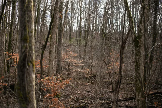 $1,695,000 | 680 Morrell Road, Pulaski, TN 38478