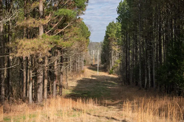 $1,695,000 | 680 Morrell Road, Pulaski, TN 38478