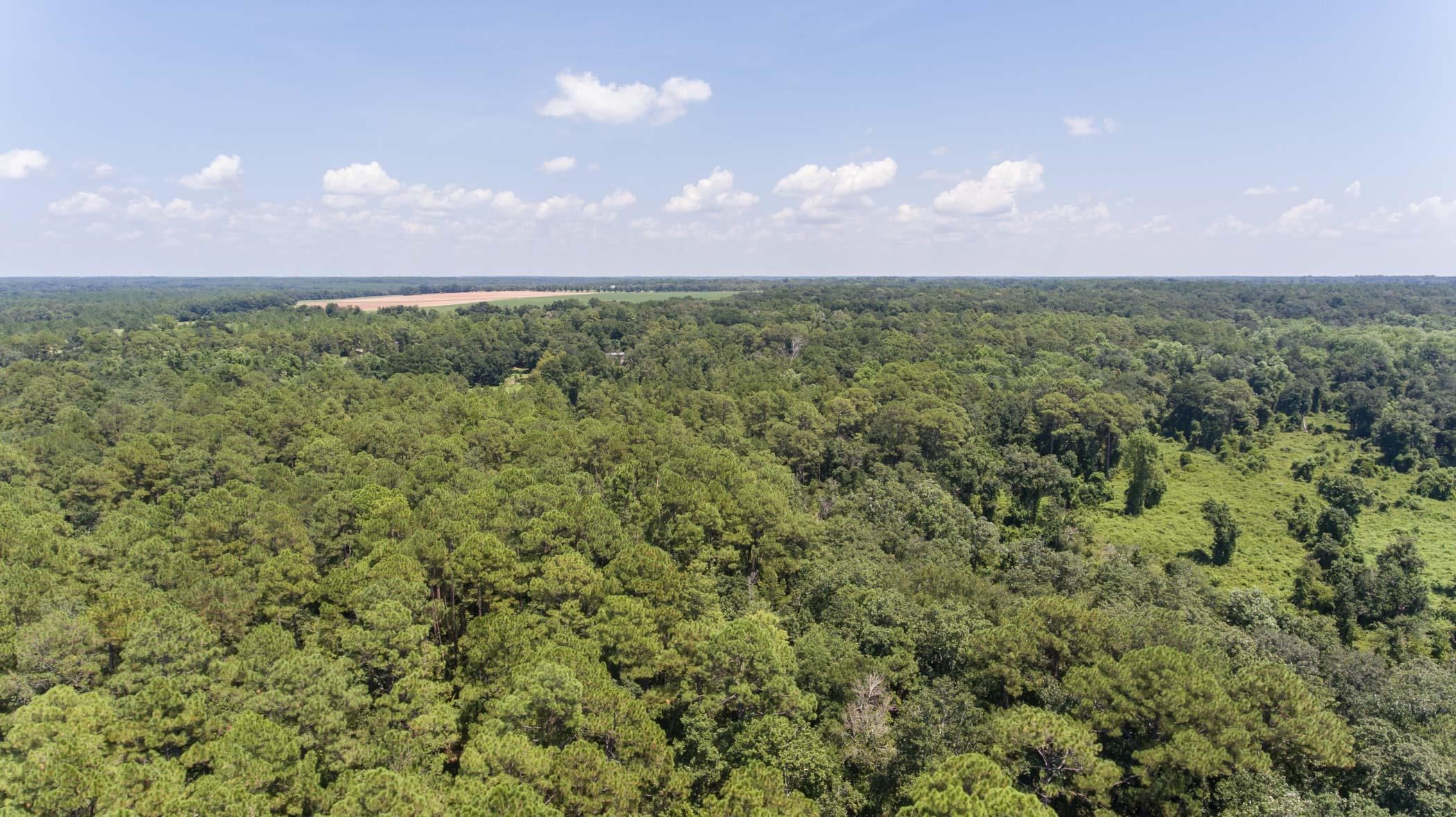 17869 River Road Summerdale, AL 36580 - Photo 70 of 79 Aerial View