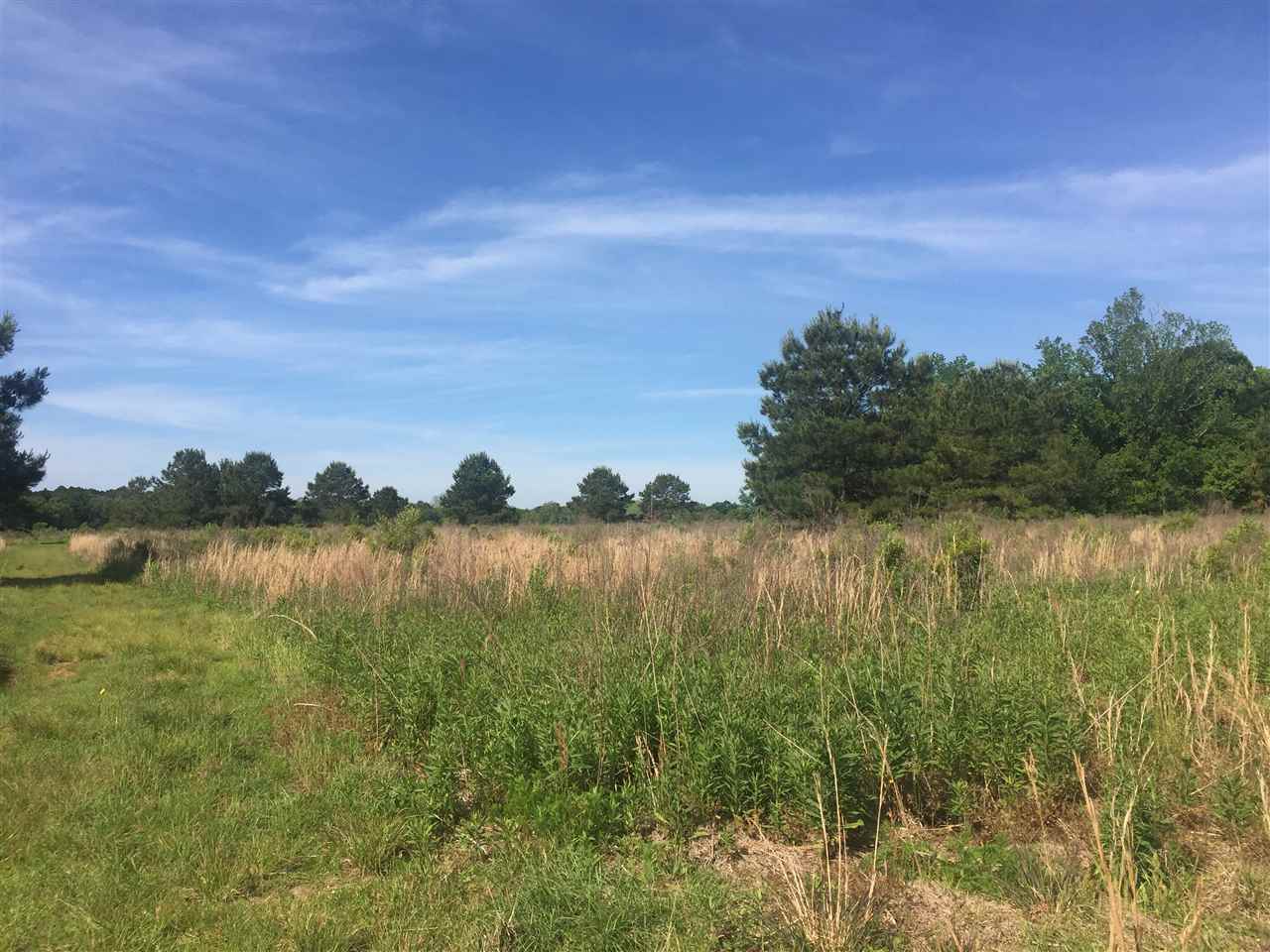 14300 Marion Weeks Lane Foley, AL 36535 - Photo 1 of 5 Main