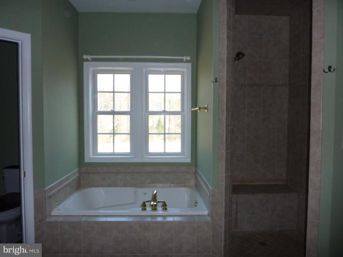 3286 Courtney School Road Midland, VA 22728 - Photo 8 of 28 Master Bath