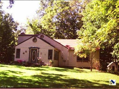 6294 Seville Road Seville, OH 44273 - Photo 1 of 1 Gallery Image 1