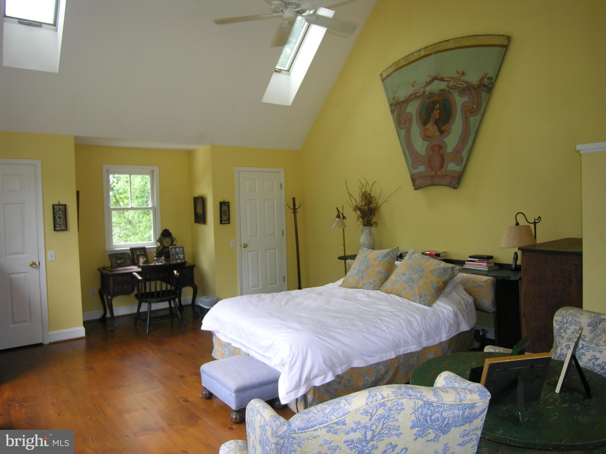 488 Quaintance Road Woodville, VA 22749 - Photo 14 of 20 Awesome MBR with skylights