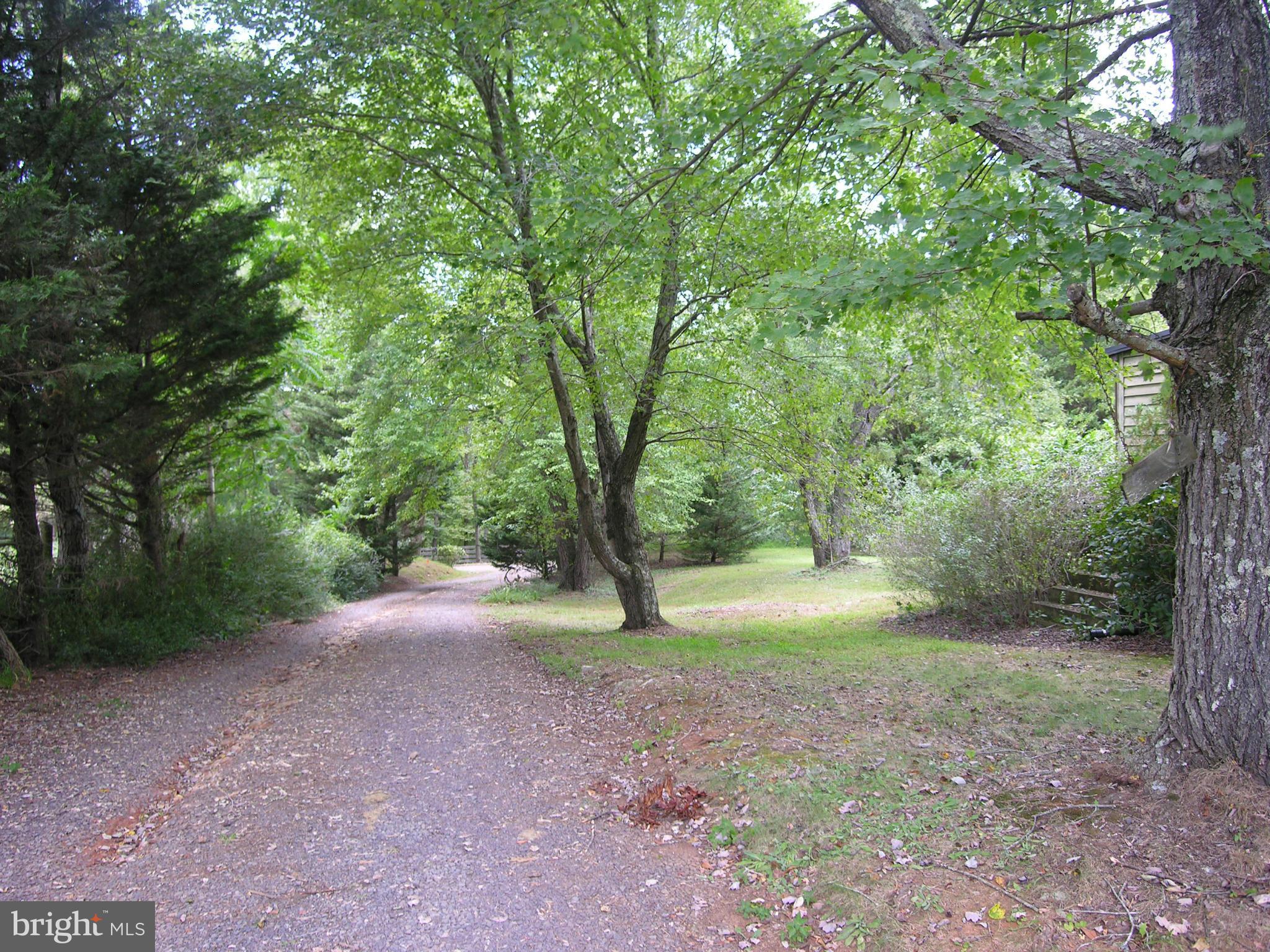488 Quaintance Road Woodville, VA 22749 - Photo 18 of 20 Driveway
