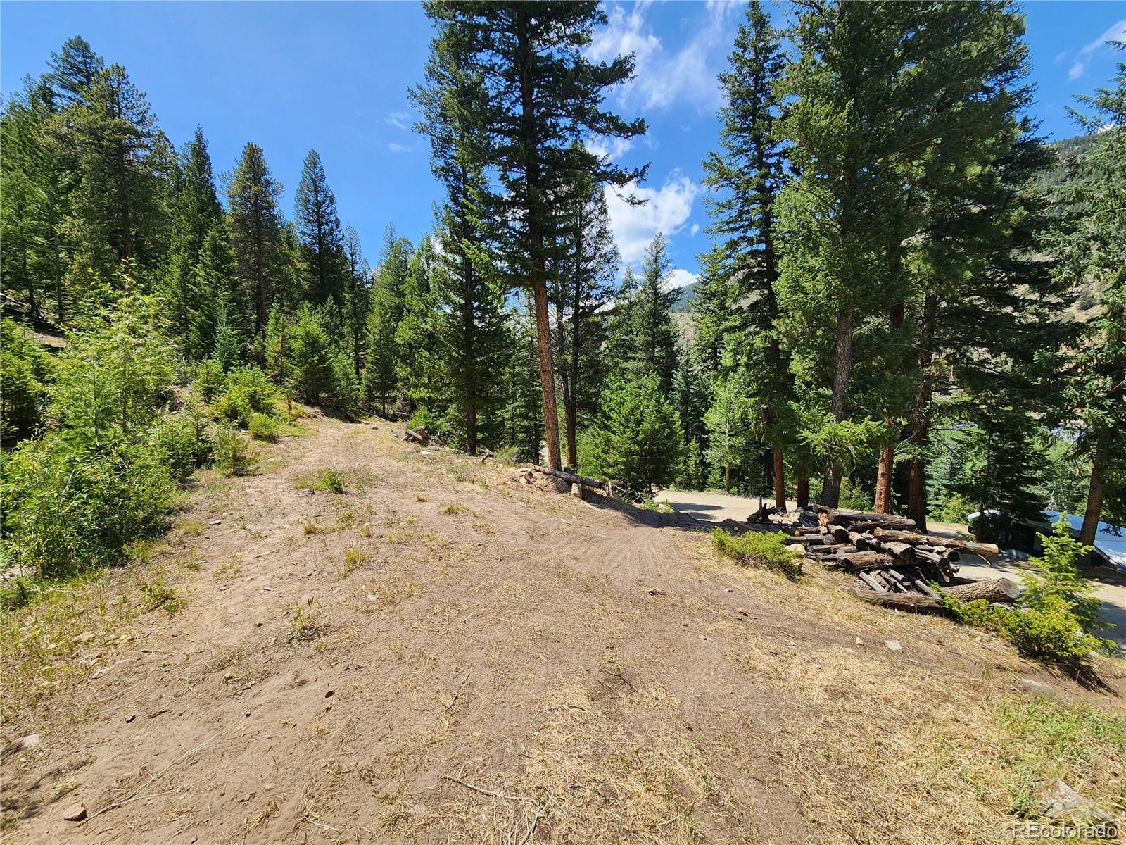 256 Capital Road Dumont, CO 80436 - Photo 18 of 50
