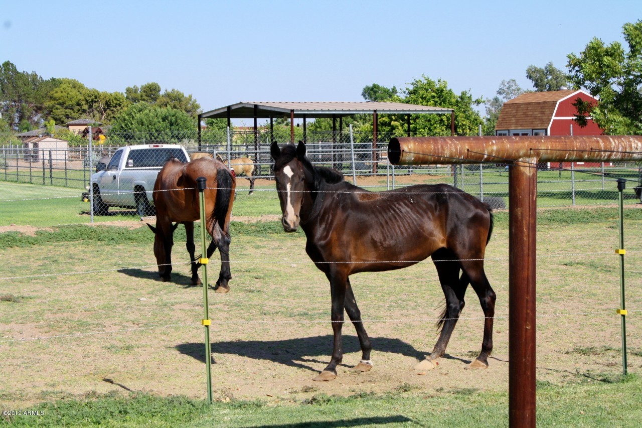 12627 West Varney Road El Mirage, AZ 85335 - Photo 21 of 22 Fenced Area for Horses