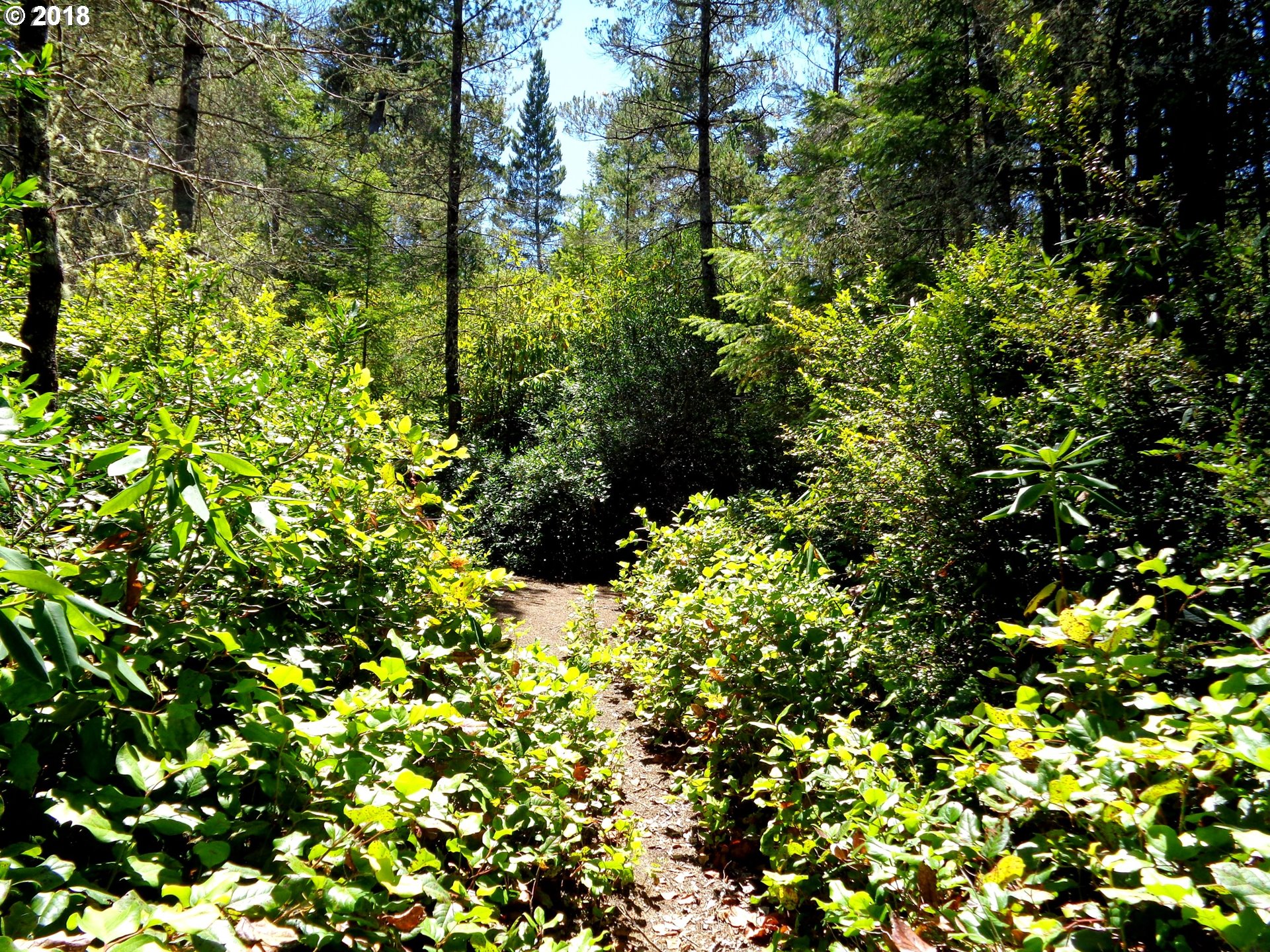 5826 Mercer Lake Road Florence, OR 97439 - Photo 29 of 31 Gallery Image 29