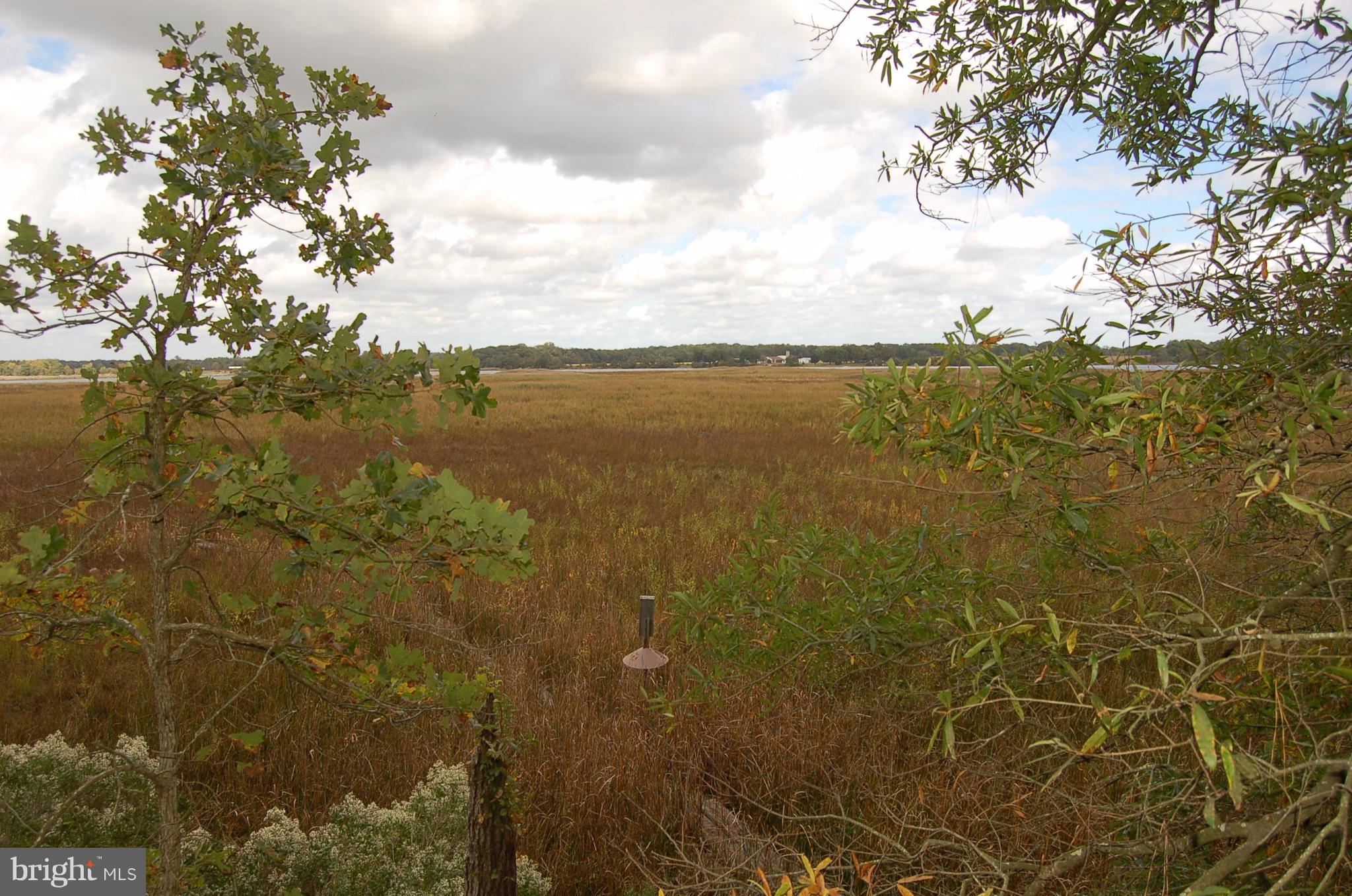 Orchard Road Trappe, MD 21673 - Photo 11 of 28 View