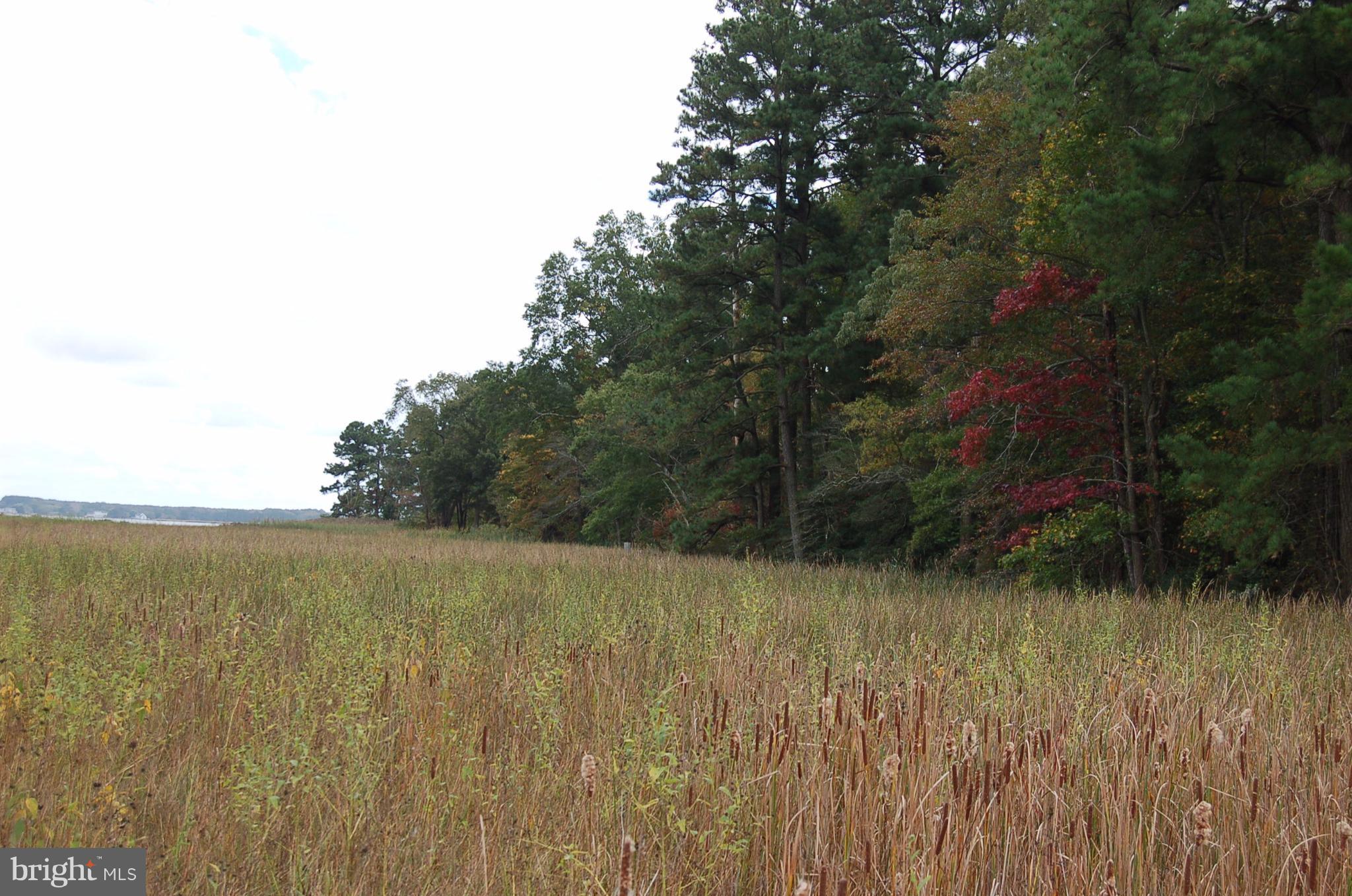 Orchard Road Trappe, MD 21673 - Photo 8 of 28 View