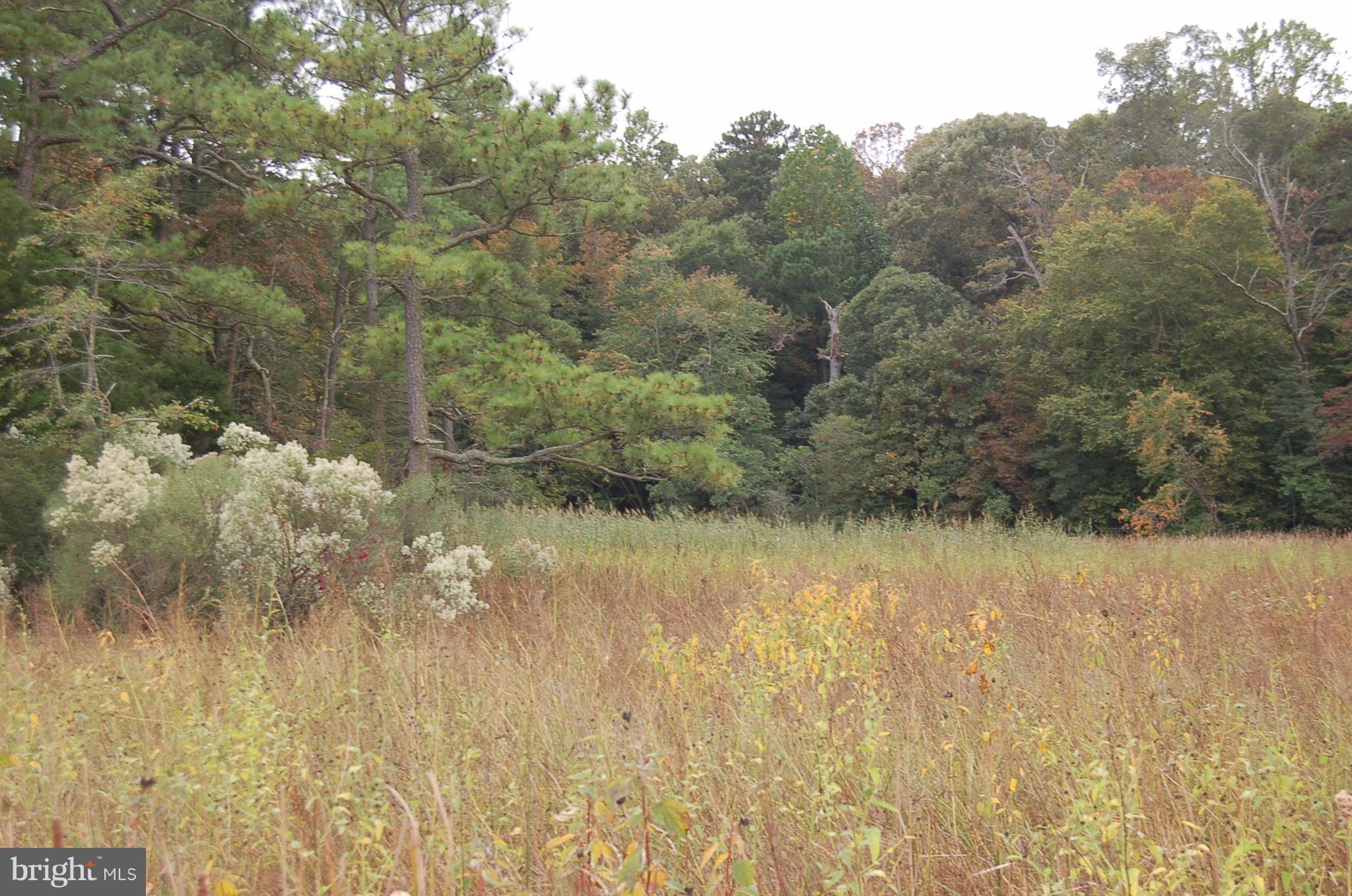 Orchard Road Trappe, MD 21673 - Photo 9 of 28 View