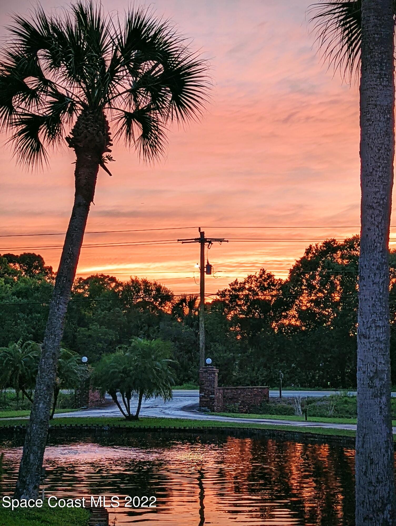 2187 Turtle Mound Road Melbourne, FL 32934 - Photo 40 of 42 a view of a lake with a palm tree