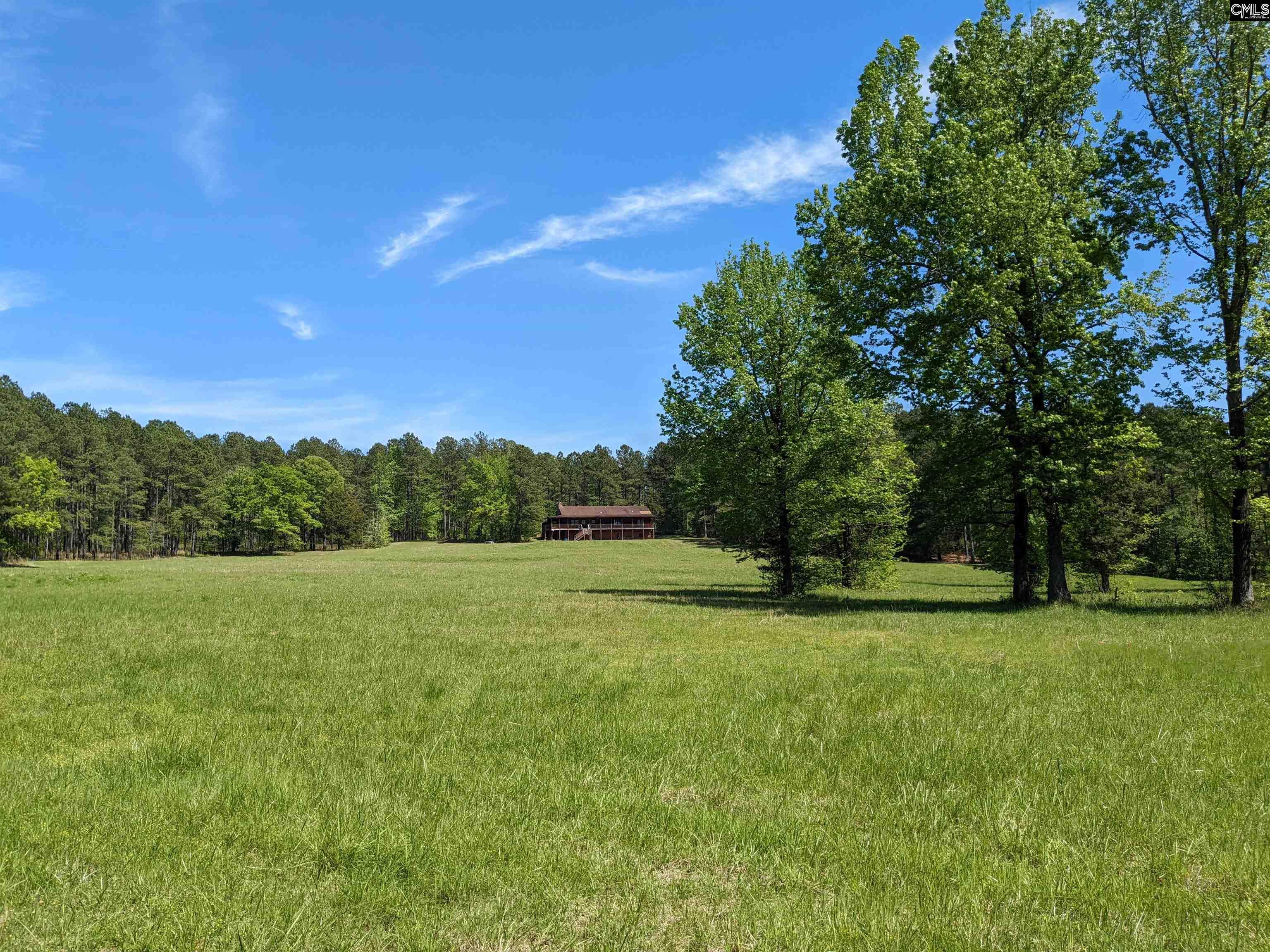 Old Hillcrest School Road Winnsboro, SC 29180 - Photo 41 of 95