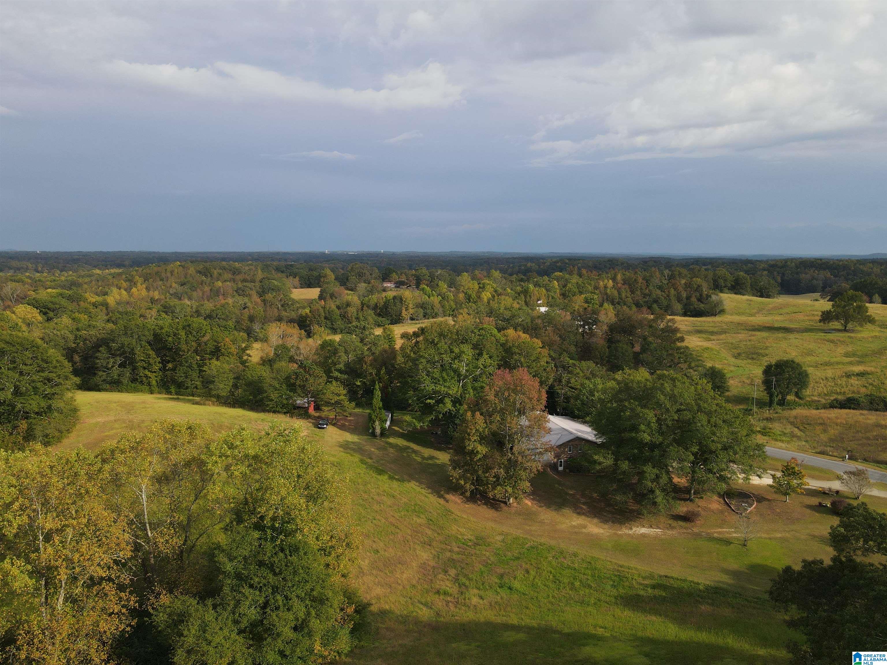 56 Mines Road Ashland, AL 36251 - Photo 50 of 52