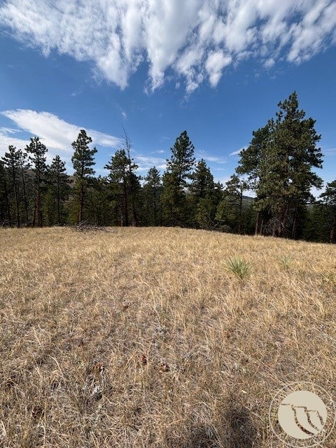 Lot 17 Skibstad Road Road Columbus, MT 59019 - Photo 26 of 28 Gallery Image 26
