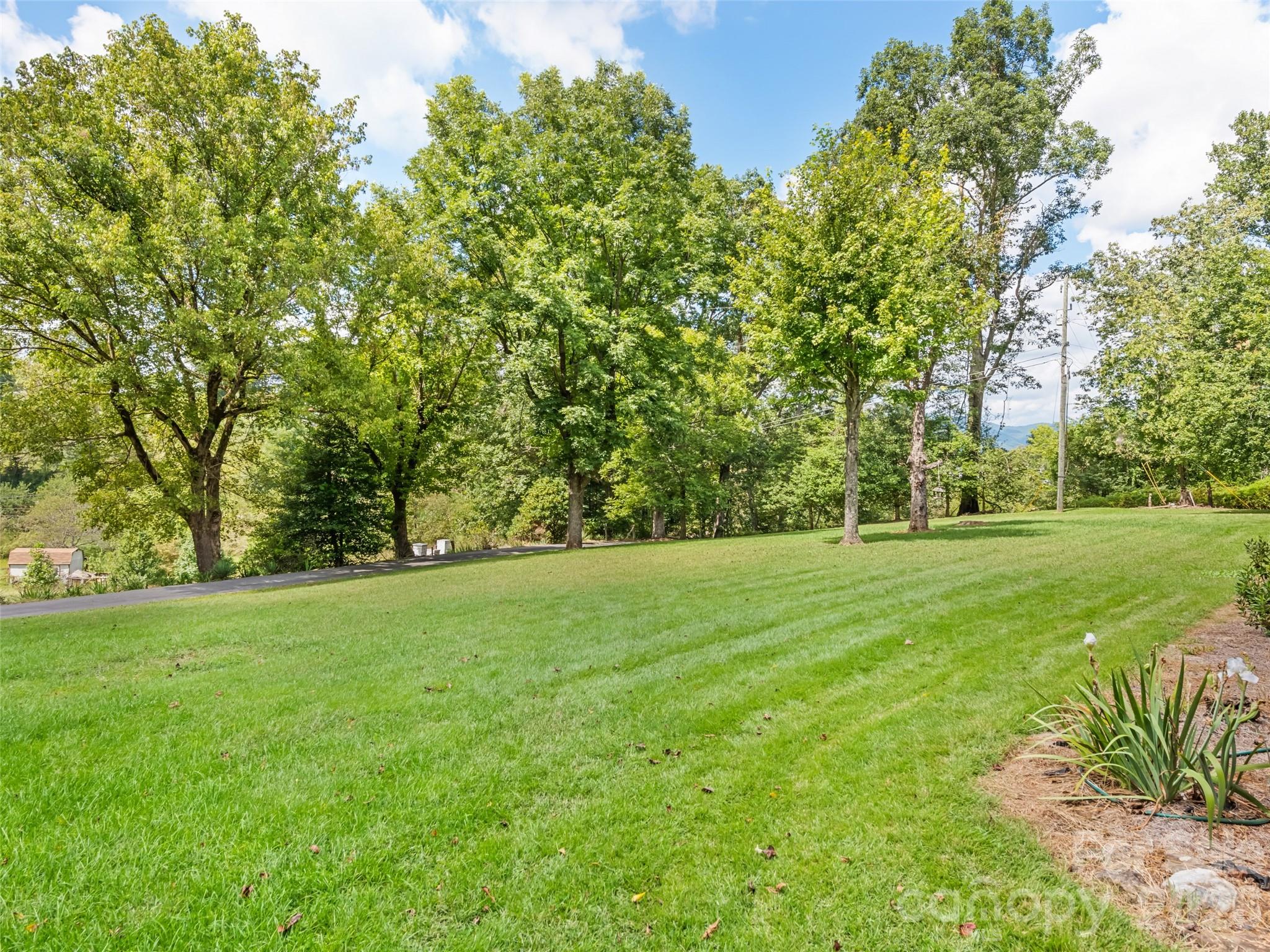 2968 Dutch Cove Road Canton, NC 28716 - Photo 8 of 30 Gallery Image 8