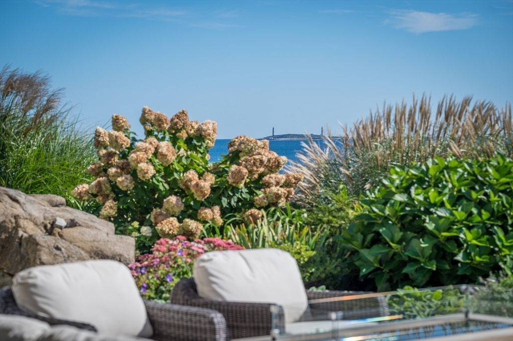131 Atlantic Road Gloucester, MA 01930 - Photo 11 of 40 a view of a backyard with plants
