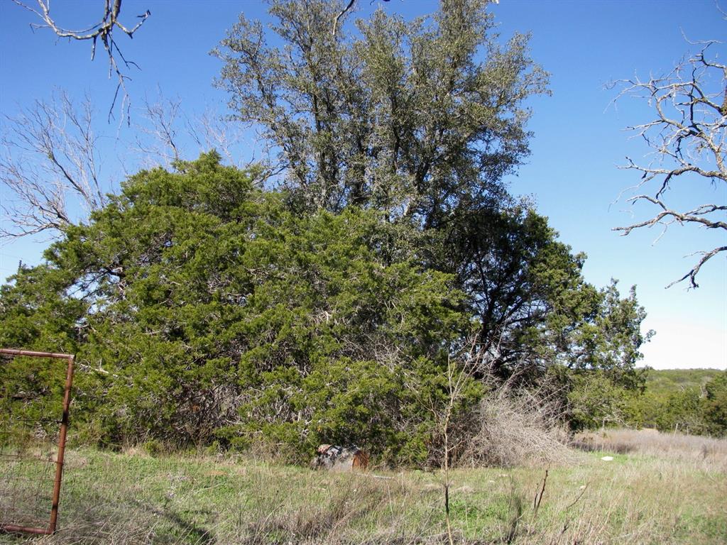 Lot 3-ph County Road 421 Evant, TX 76525 - Photo 24 of 27