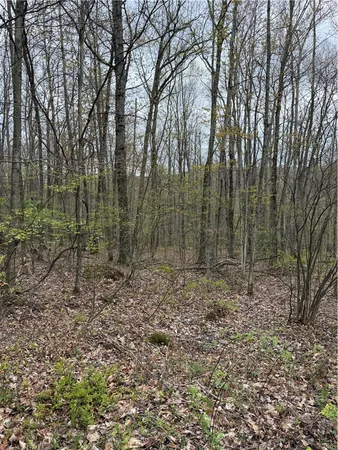 $49,000 | 10513 Hilltop Drive, Erwin, NY 14830