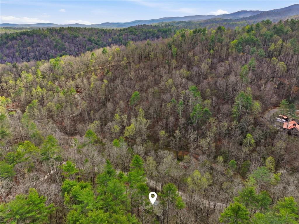 1780 Conasauga Road Ellijay, GA 30540 - Photo 17 of 43 a view of a lush green forest with trees and some houses