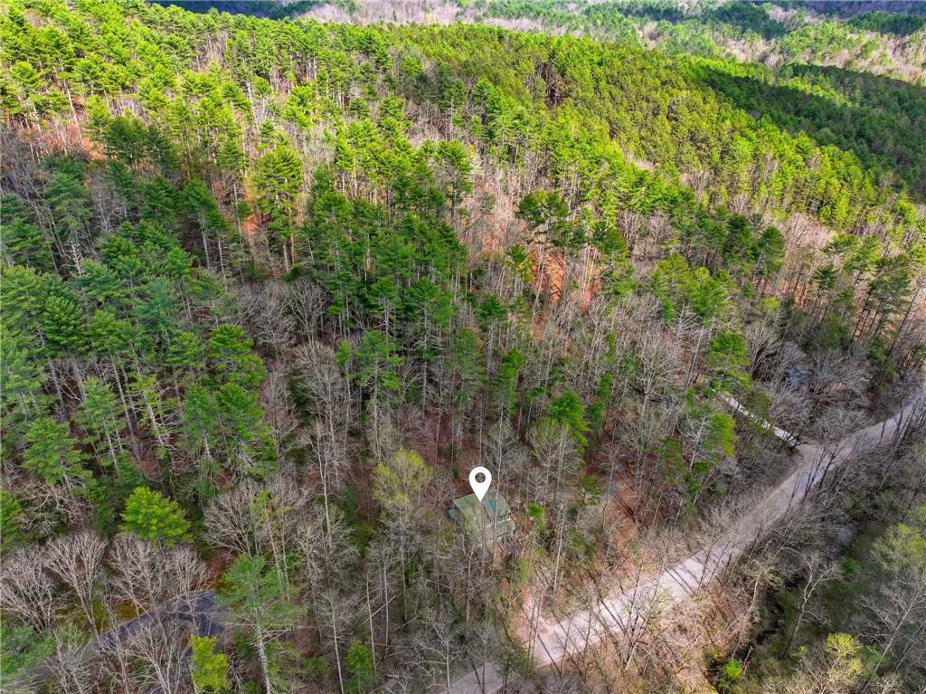 1780 Conasauga Road Ellijay, GA 30540 - Photo 18 of 43 a view of a forest with a tree