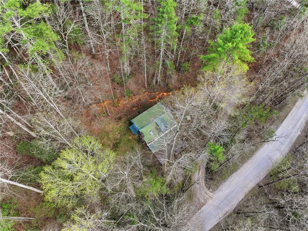 1780 Conasauga Road Ellijay, GA 30540 - Photo 19 of 43 a backyard of a house with lots of green space