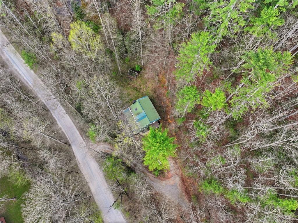 1780 Conasauga Road Ellijay, GA 30540 - Photo 2 of 43 a view of a yard with plants and a building