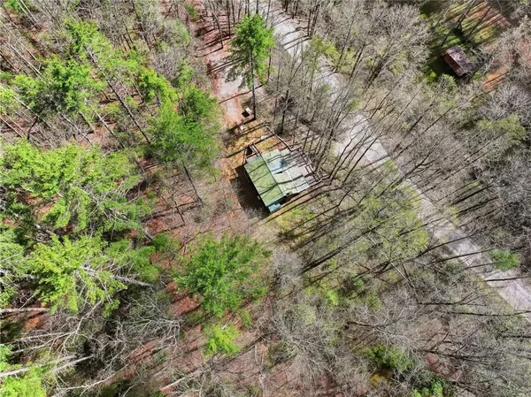 a backyard of a house with lots of trees