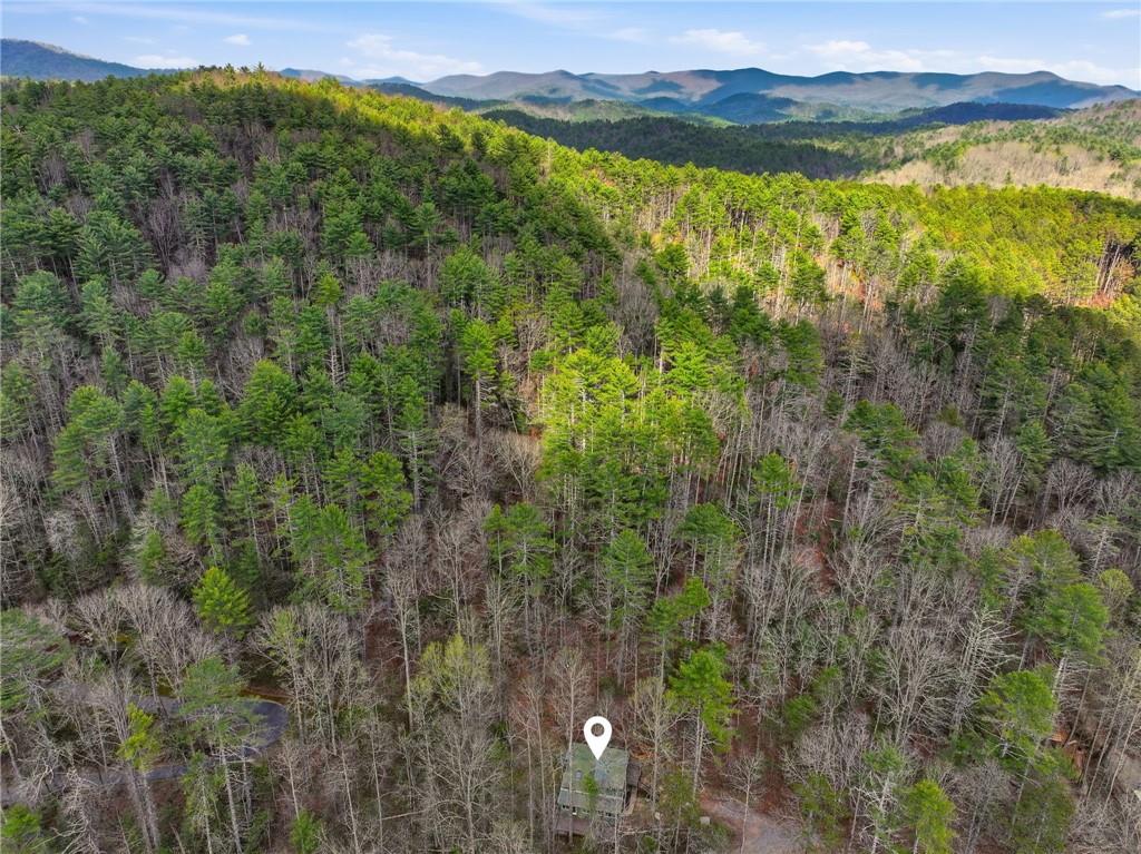 1780 Conasauga Road Ellijay, GA 30540 - Photo 3 of 43 a view of a city with lush green forest
