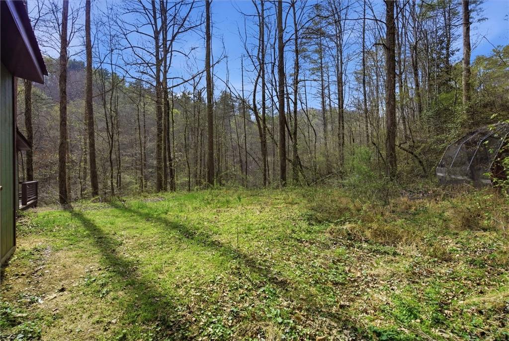 1780 Conasauga Road Ellijay, GA 30540 - Photo 31 of 43 a view of backyard with green space