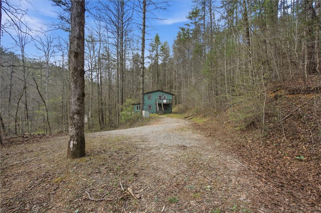 1780 Conasauga Road Ellijay, GA 30540 - Photo 42 of 43 a view of a trees with a bench