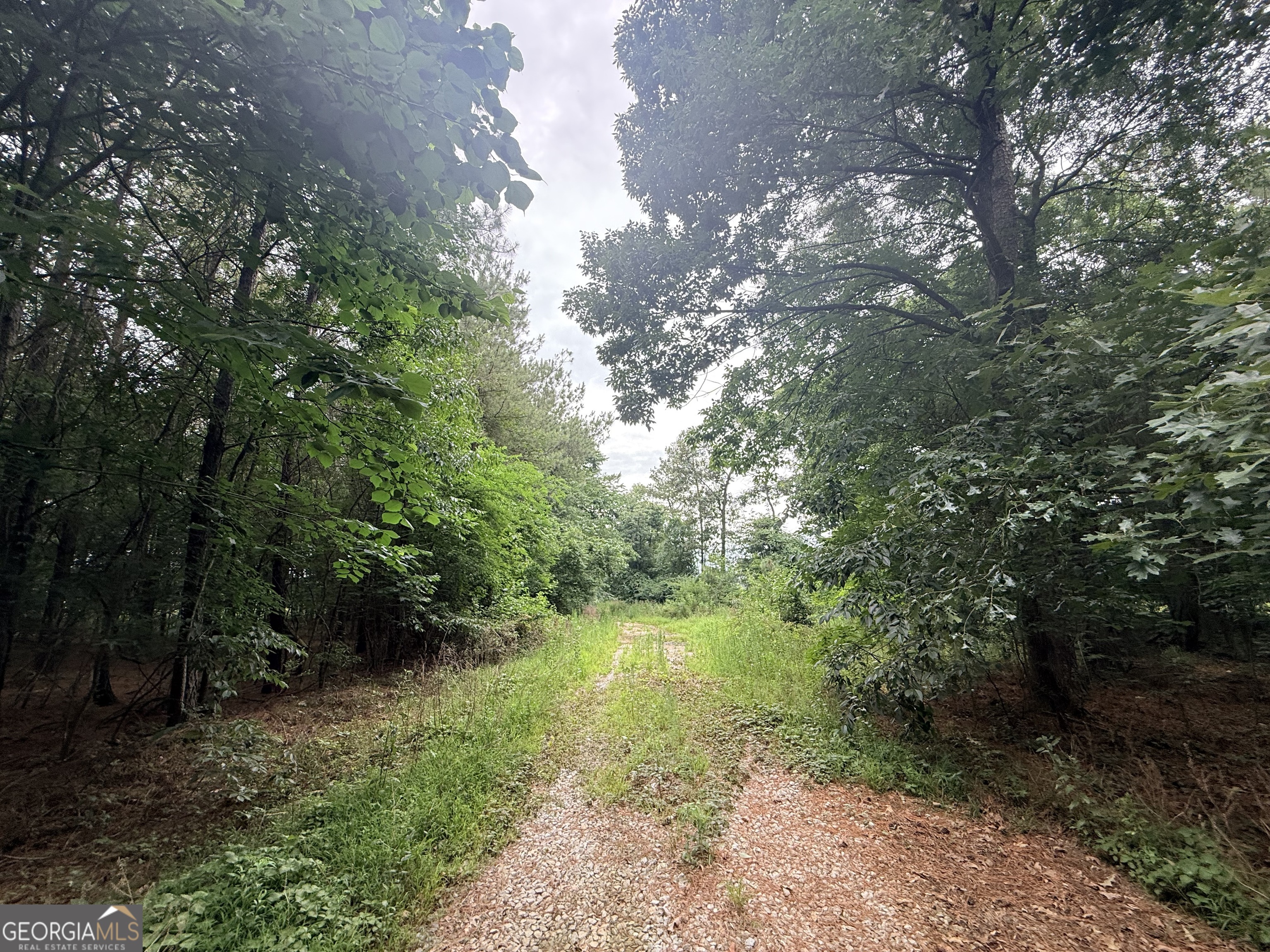 1 Bethesda Church Road Lexington, GA 30648 - Photo 6 of 78