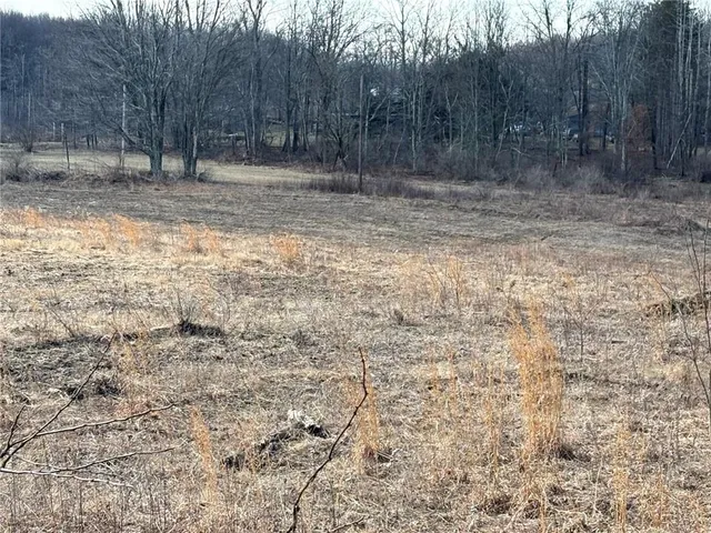 a view of a yard with trees