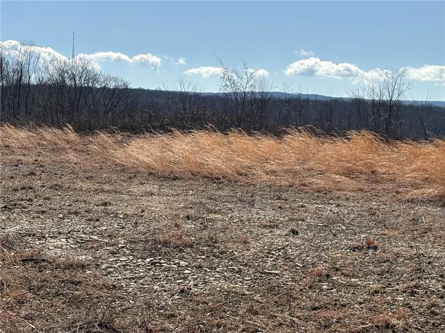a view of swimming pool and a yard