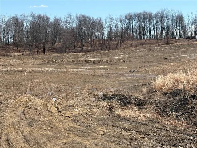 a view of a yard with trees