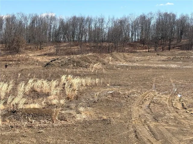 a view of a yard with trees