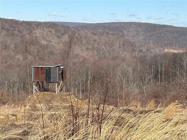 a view of a room with a wooden floor and a chair